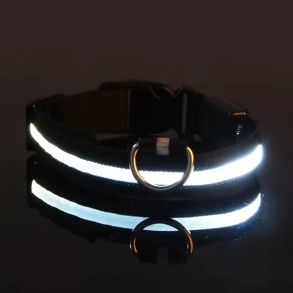 Glow In The Dark Collar