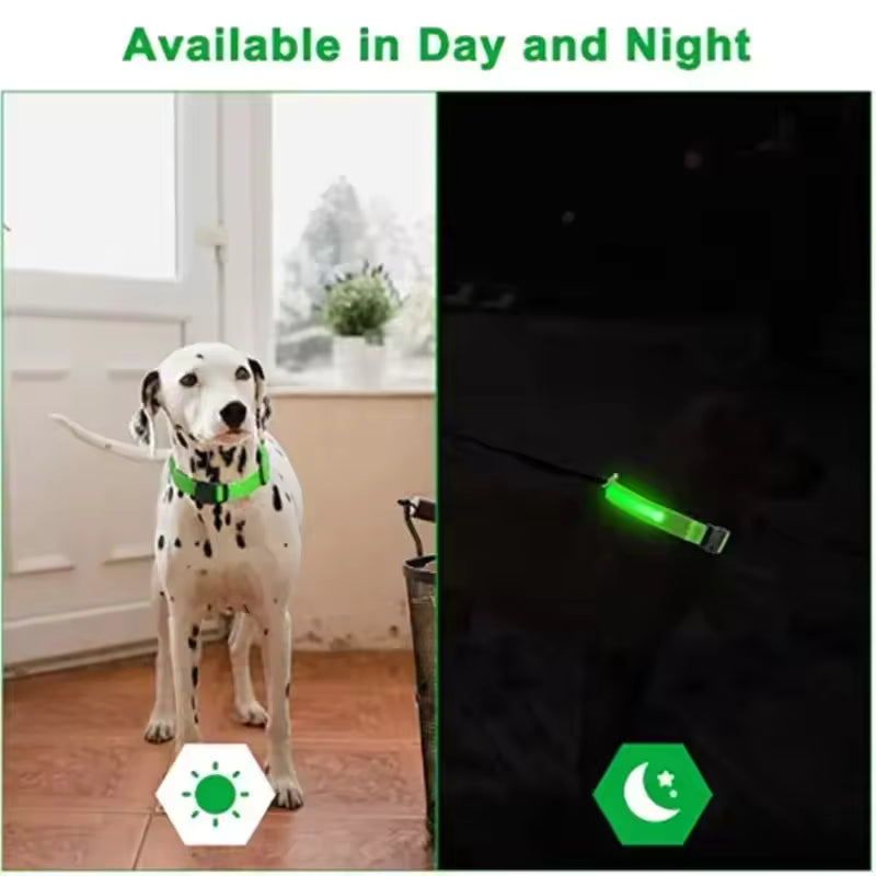 Glow In The Dark Collar