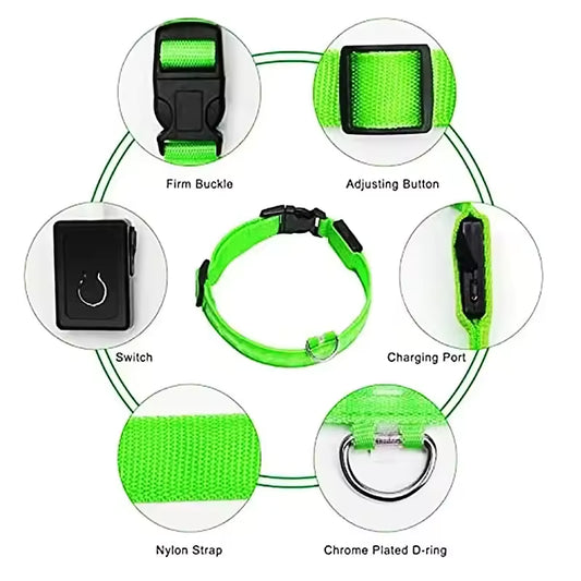 Glow In The Dark Collar