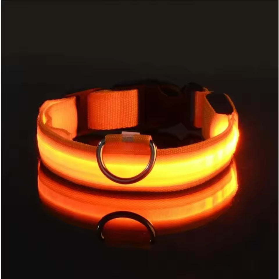 Glow In The Dark Collar