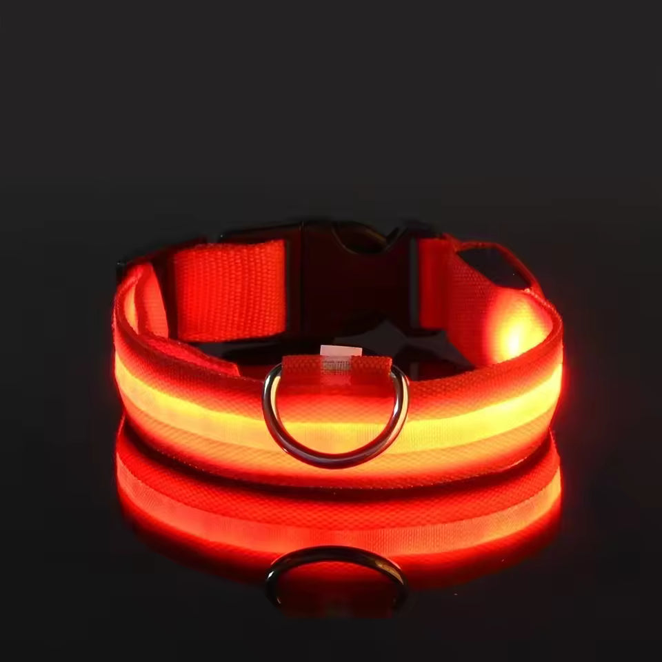 Glow In The Dark Collar