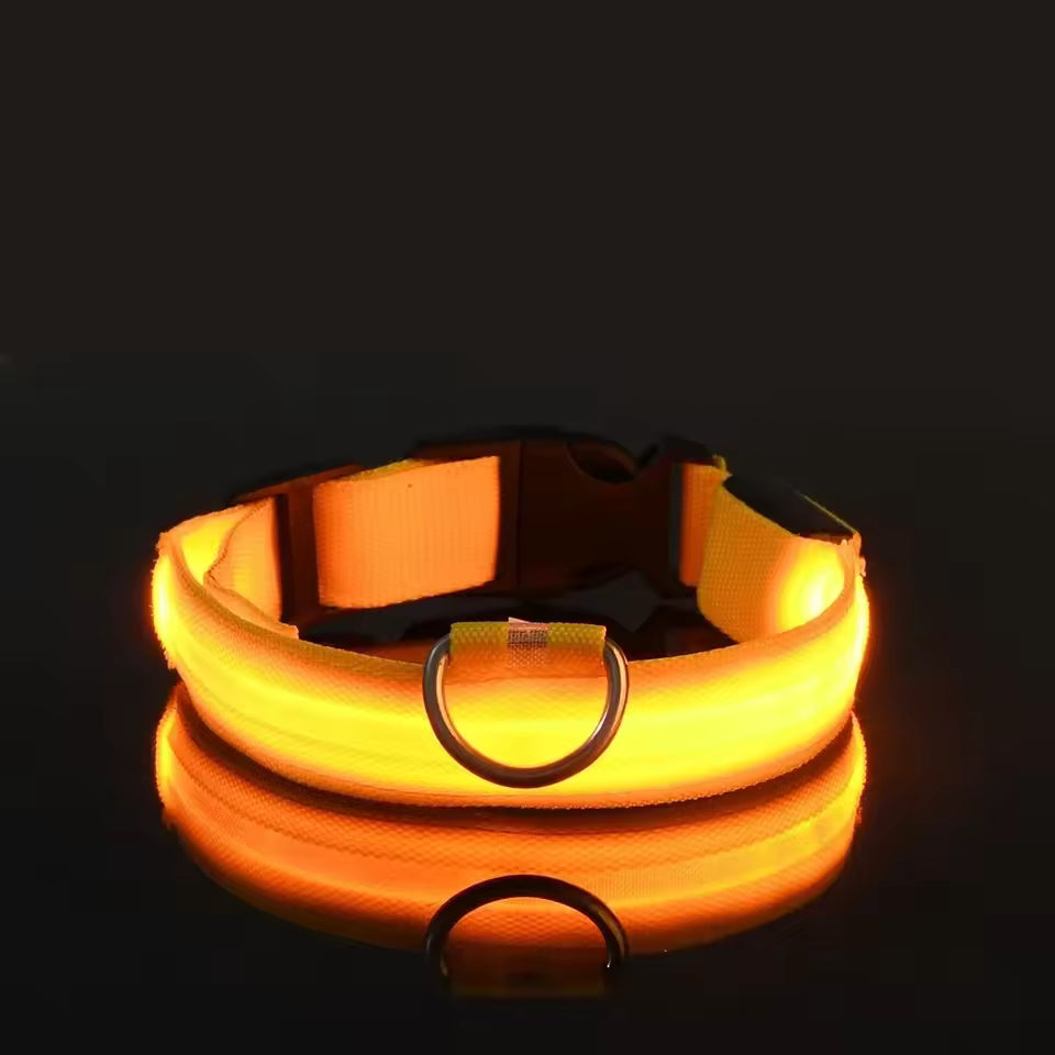 Glow In The Dark Collar